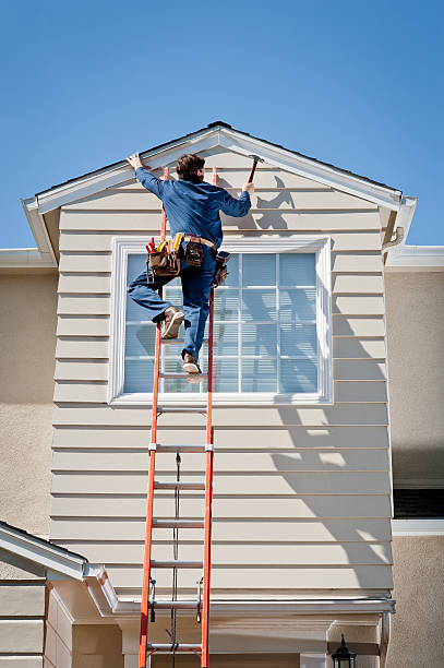 Professional Siding Installation & Repair in Tolono, IL